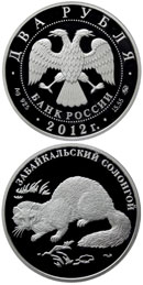Забайкальский солонгой - 12